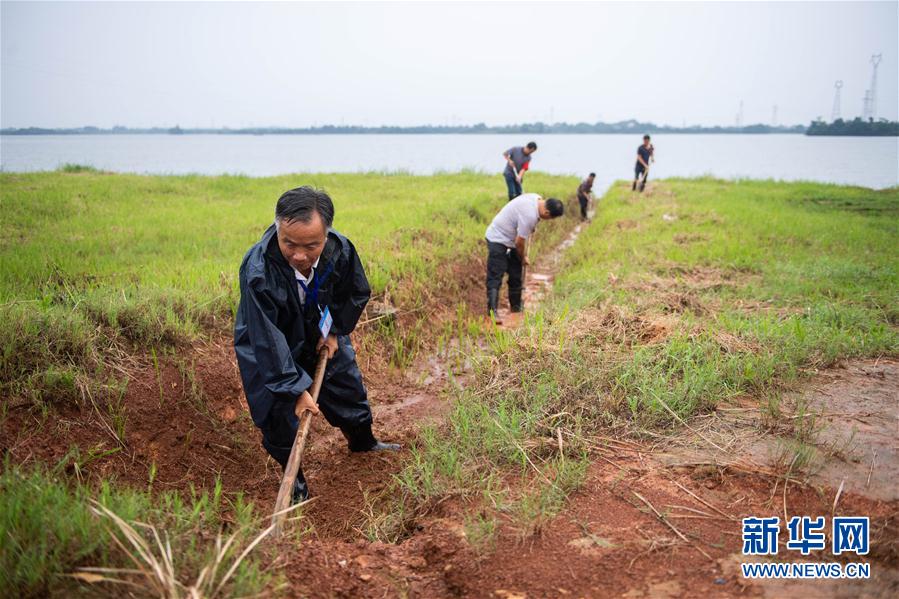 (防汛抗洪·圖文互動(dòng))(9)鏖戰(zhàn)南洞庭