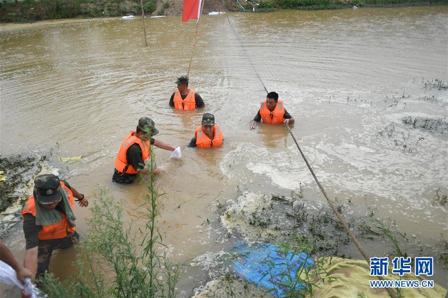 （防汛抗洪&middot;圖文互動(dòng)）（1）&ldquo;大堤上有了&lsquo;導(dǎo)彈綠&rsquo;，我們老百姓安了心&rdquo;