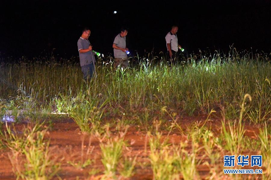 （防汛抗洪&middot;圖文互動）（2）&ldquo;保衛(wèi)家園，誰都不能是旁觀者&rdquo;&mdash;&mdash;夜訪洞庭湖大堤防汛一線