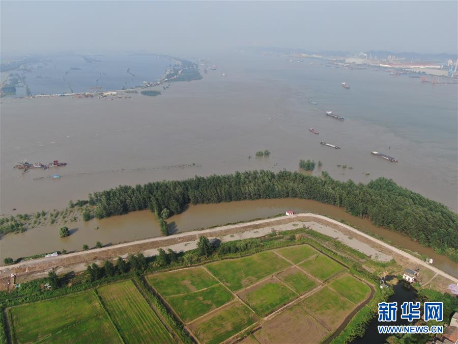 (新華全媒頭條·圖文互動)(1)鏖戰(zhàn)江新洲