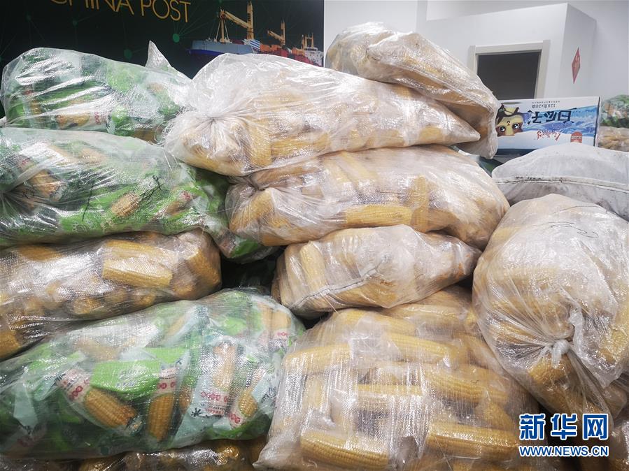 (落實“六穩(wěn)”“六保”一線見聞·圖文互動)(2)老煤城雙鴨山開拓就業(yè)創(chuàng)業(yè)新領(lǐng)地