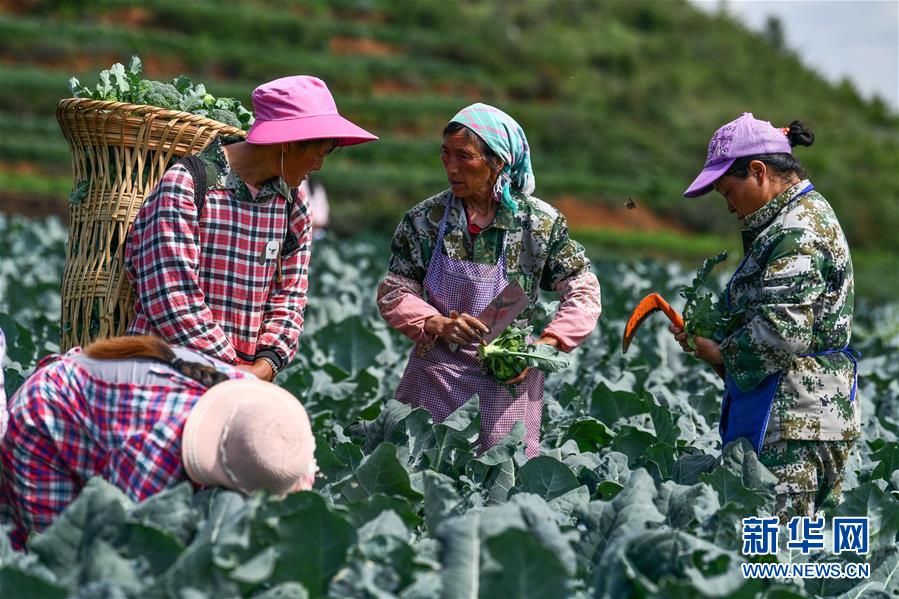 （新華全媒頭條&middot;走向我們的小康生活&middot;圖文互動(dòng)）（10）三幅&ldquo;圖鑒&rdquo;說變遷&mdash;&mdash;貴州&ldquo;穿越時(shí)空&rdquo;的脫貧印記