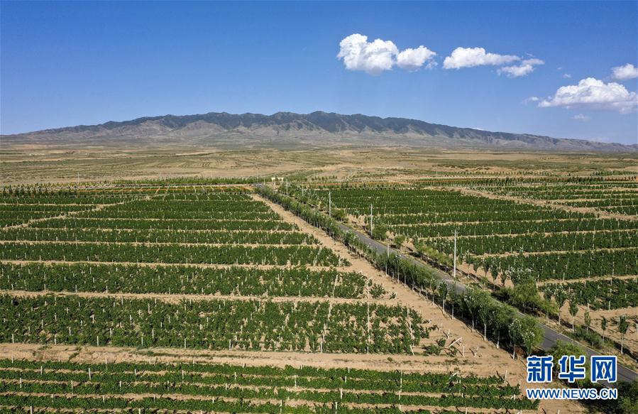 (走向我們的小康生活·圖文互動)(4)西海固換了新模樣