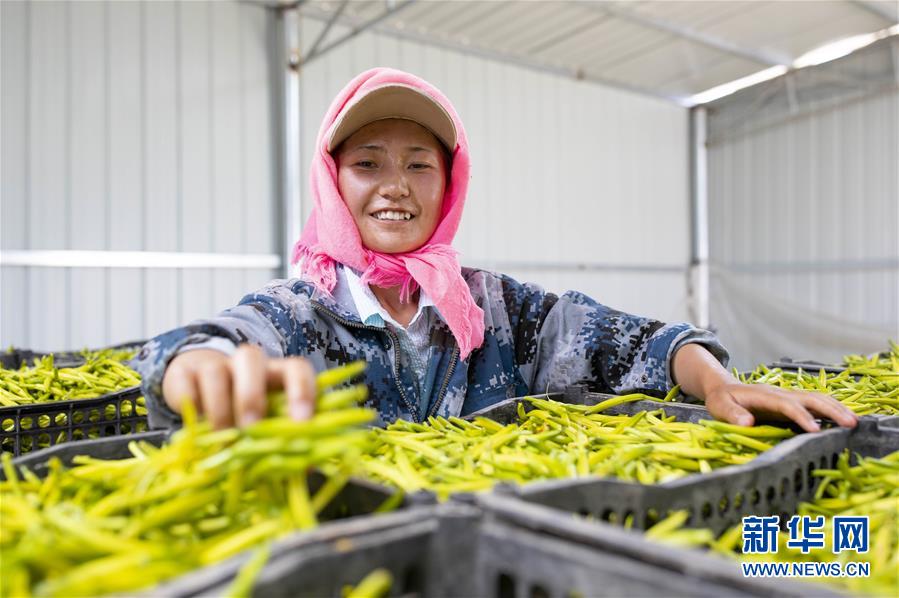 （新華全媒頭條&middot;走向我們的小康生活&middot;圖文互動）（12）23萬人的命運轉(zhuǎn)折&mdash;&mdash;我國最大易地生態(tài)移民安置區(qū)的脫貧密碼