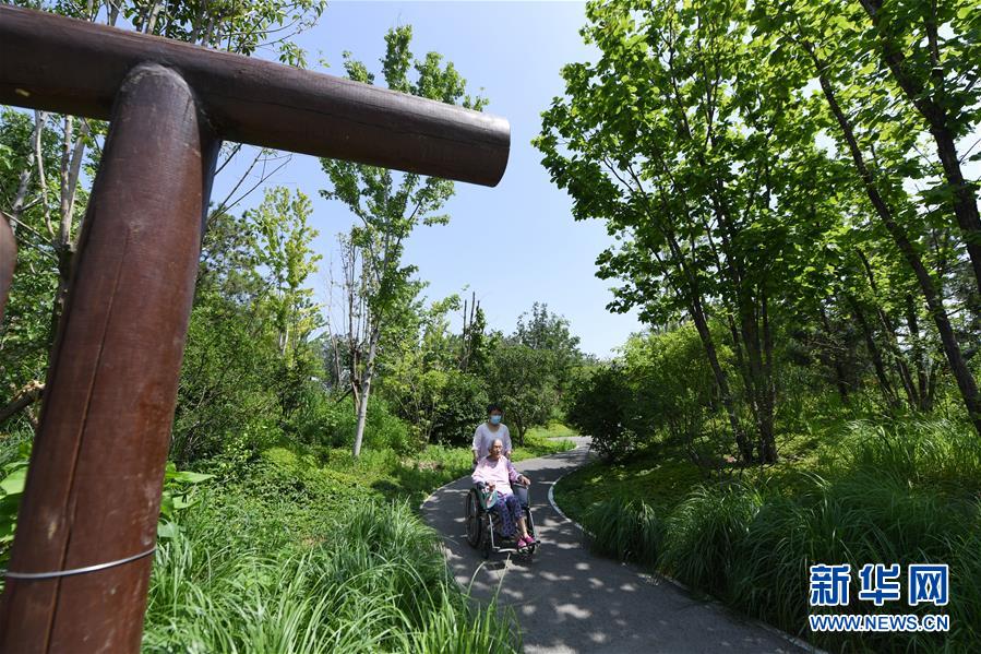 (新華全媒頭條·圖文互動(dòng))(4)老胡同里的新生活——北京老城探訪記