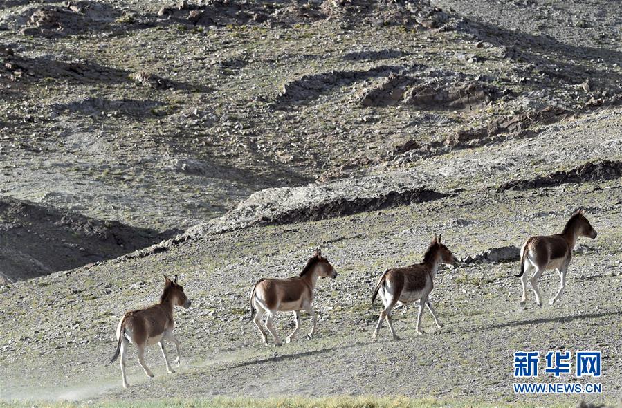 （在習近平新時代中國特色社會主義思想指引下&mdash;&mdash;新時代新作為新篇章&middot;習近平總書記關(guān)切事&middot;圖文互動）（1）綠色映底蘊，山水見初心&mdash;&mdash;生態(tài)優(yōu)先、綠色發(fā)展持續(xù)造福群眾美好生活