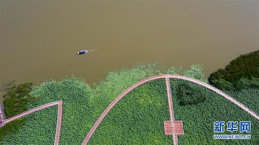 （在習近平新時代中國特色社會主義思想指引下&mdash;&mdash;新時代新作為新篇章&middot;習近平總書記關(guān)切事&middot;圖文互動）（8）綠色映底蘊，山水見初心&mdash;&mdash;生態(tài)優(yōu)先、綠色發(fā)展持續(xù)造福群眾美好生活