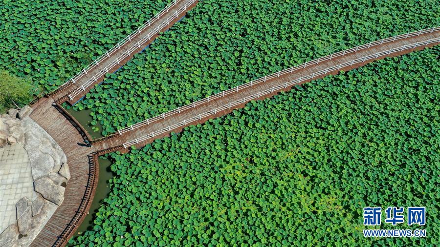 （在習近平新時代中國特色社會主義思想指引下&mdash;&mdash;新時代新作為新篇章&middot;習近平總書記關(guān)切事&middot;圖文互動）（9）綠色映底蘊，山水見初心&mdash;&mdash;生態(tài)優(yōu)先、綠色發(fā)展持續(xù)造福群眾美好生活