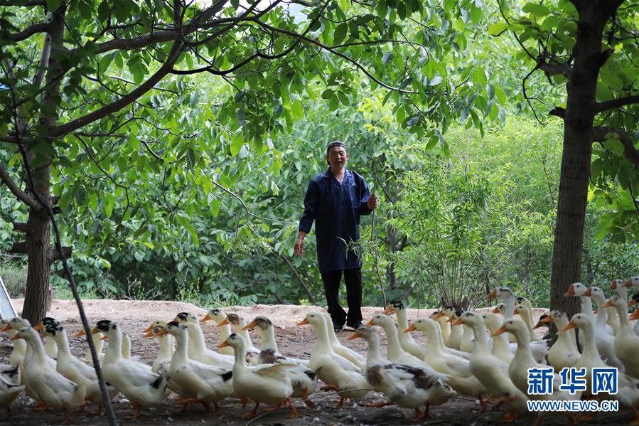 （新華全媒頭條&middot;圖文互動(dòng)）（8）穩(wěn)中求進(jìn) 奮勇前進(jìn)&mdash;&mdash;從中央政治局會(huì)議看中國經(jīng)濟(jì)走勢