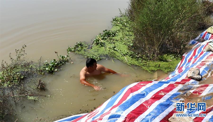 (新華全媒頭條·圖文互動)(2)筑起共御水患的鋼鐵長堤——戰(zhàn)洪一線的“干群關(guān)系新答卷”