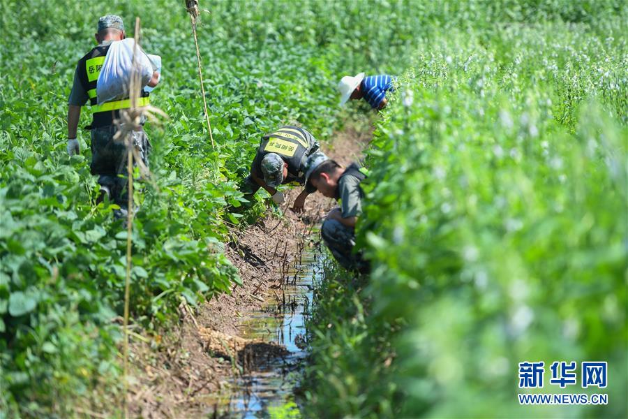 (新華全媒頭條·圖文互動)(10)筑起共御水患的鋼鐵長堤——戰(zhàn)洪一線的“干群關(guān)系新答卷”