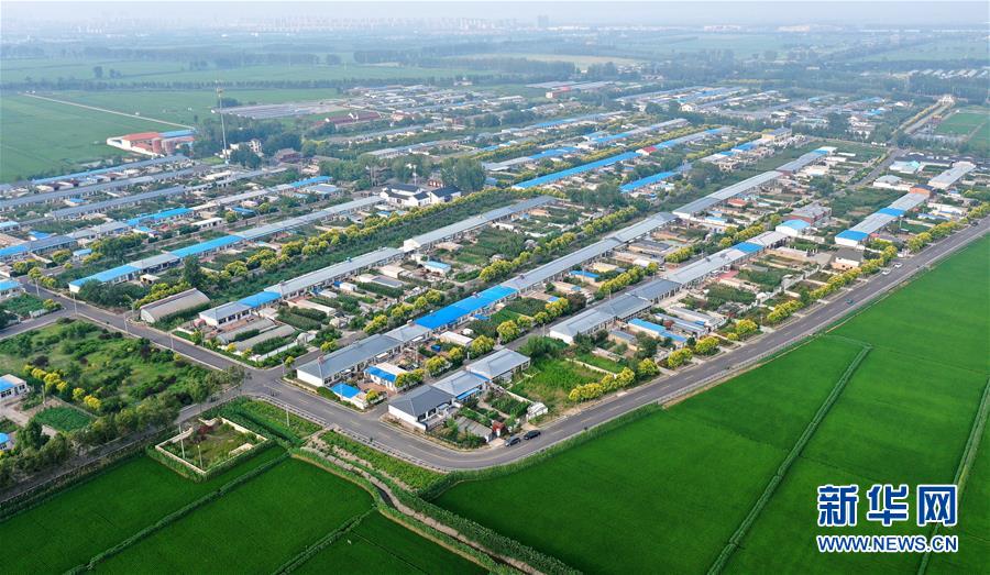 (新華全媒頭條·走向我們的小康生活·圖文互動)(4)“南大荒”變“稻蟹鄉(xiāng)”——資源枯竭型城市盤錦的鄉(xiāng)村振興之路