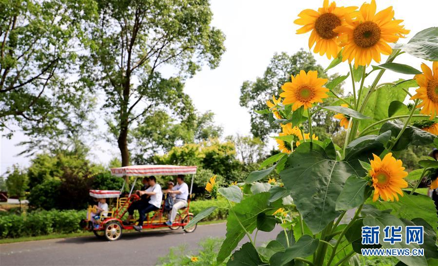 （新華全媒頭條&middot;走向我們的小康生活&middot;圖文互動(dòng)）（13）城市，讓人民生活更美好