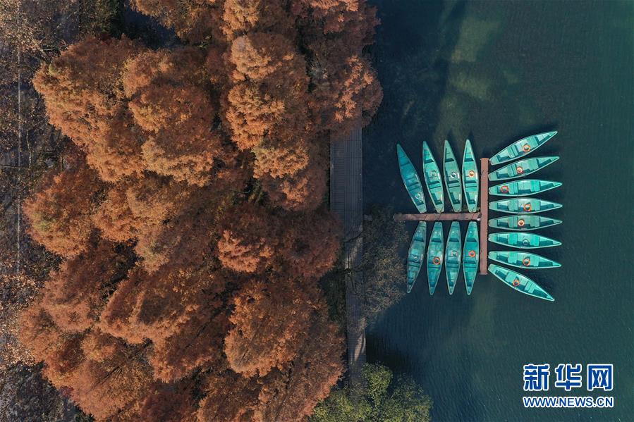 (新華全媒頭條·圖文互動(dòng))(8)錢(qián)塘今朝更繁華——高水平小康的“杭州答卷”