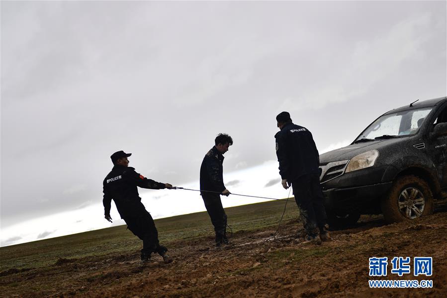 （圖文互動）（10）記者手記：可可西里，&ldquo;挪&rdquo;向&ldquo;藏羚羊大產(chǎn)房&rdquo;的14個半小時