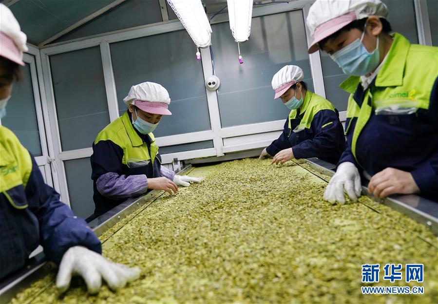 (在習(xí)近平新時(shí)代中國特色社會主義思想指引下——新時(shí)代新作為新篇章·習(xí)近平總書記關(guān)切事·圖文互動)(5)激發(fā)每個(gè)經(jīng)濟(jì)“細(xì)胞”的活力——千方百計(jì)把市場主體保護(hù)好