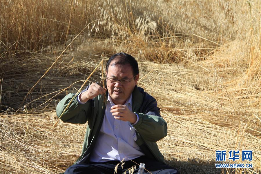（新時(shí)代擔(dān)當(dāng)作為典型&middot;圖文互動(dòng)）（1）草地生態(tài)專(zhuān)家趙新全：情深不舍三江源
