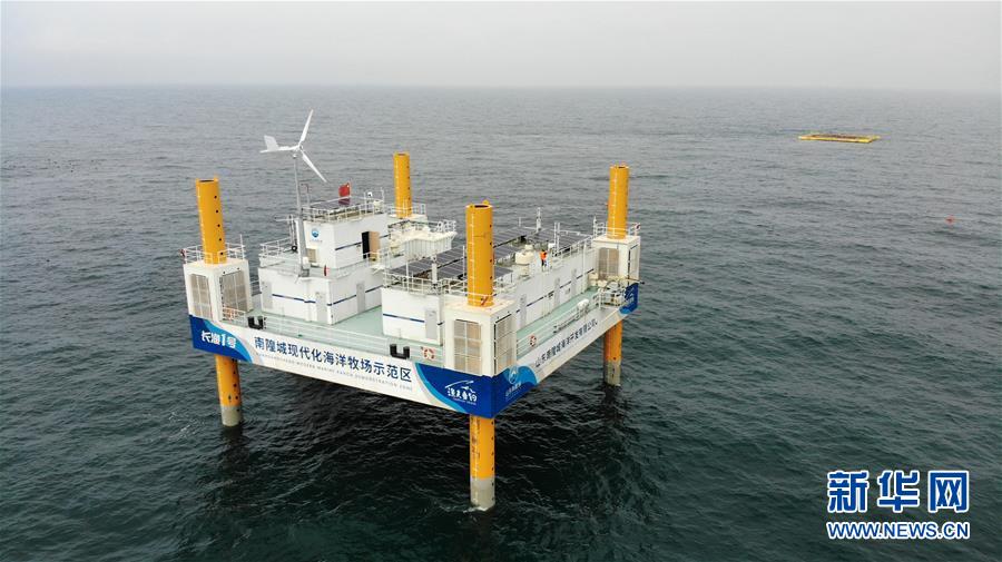 (新華全媒頭條·走向我們的小康生活·圖文互動(dòng))(5)幸福小康入畫來——齊魯大地描繪小康新畫卷