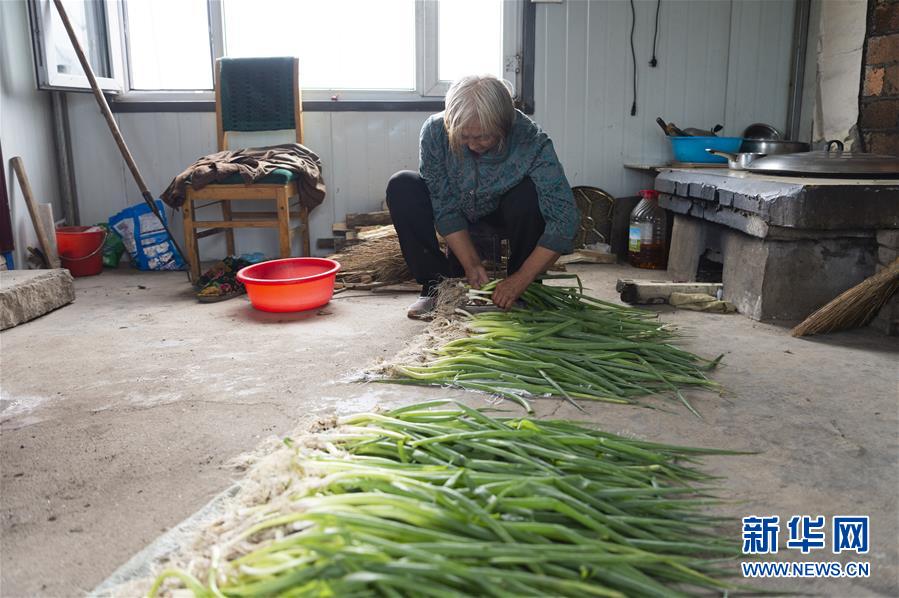 (決戰(zhàn)決勝脫貧攻堅(jiān)·圖文互動)(4)老張的菜園
