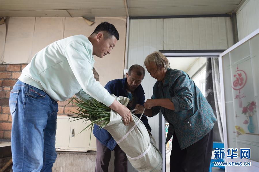 (決戰(zhàn)決勝脫貧攻堅(jiān)·圖文互動)(5)老張的菜園