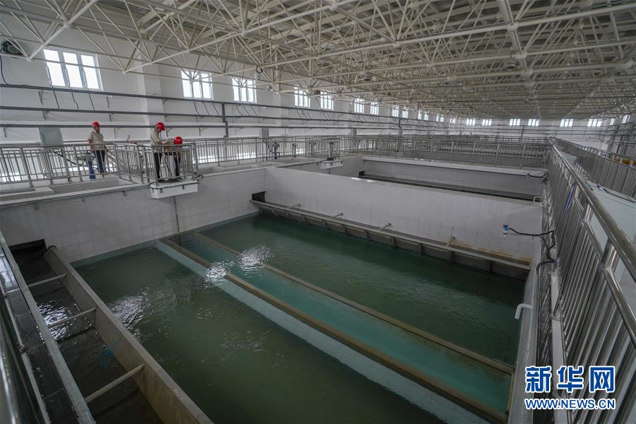 （決戰(zhàn)決勝脫貧攻堅&middot;圖文互動）（3）改水記