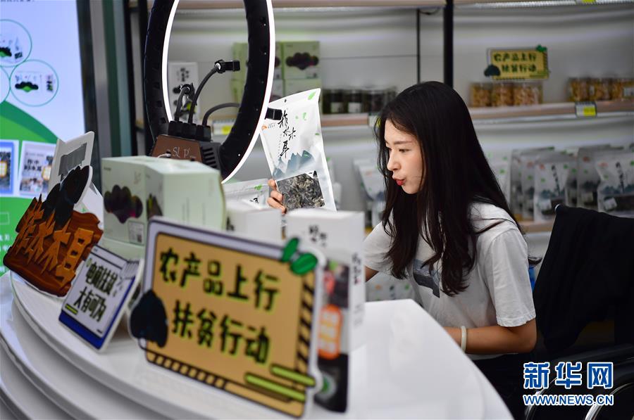 （走向我們的小康生活&middot;圖文互動）（3）綠了青山，紅了日子&mdash;&mdash;秦巴山區(qū)群眾繪出小康&ldquo;調(diào)色板&rdquo;