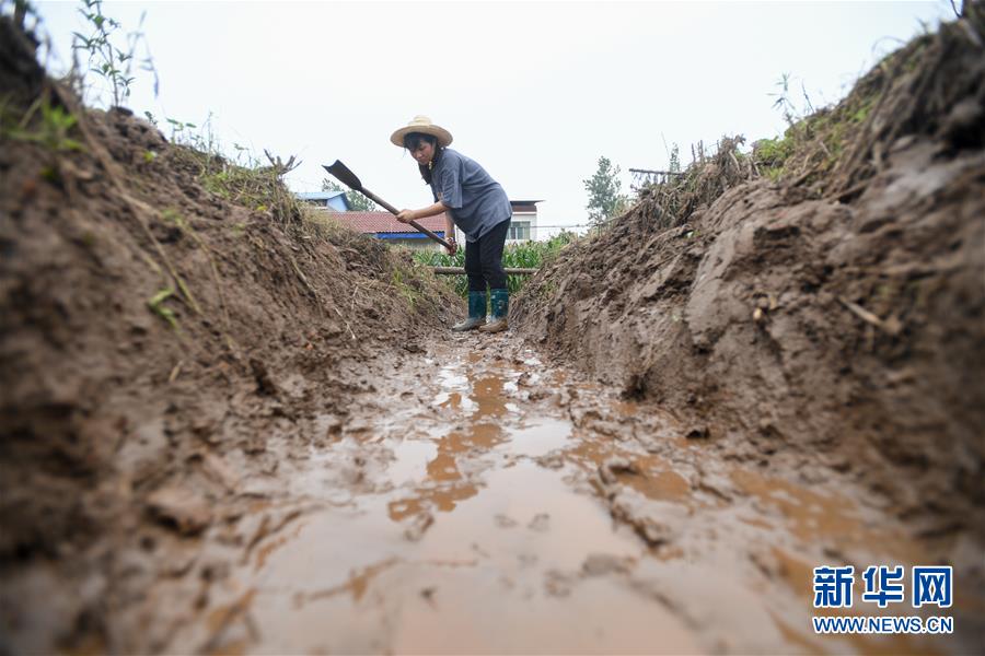 (新華全媒頭條·圖文互動)(5)“洪線”逆險守家國——抗洪一線的凡人星光