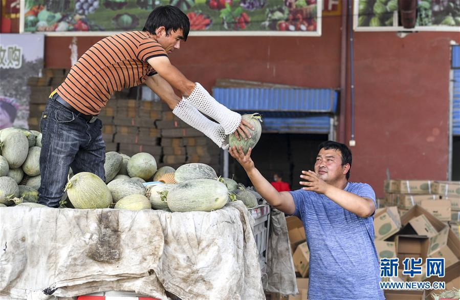 (決戰(zhàn)決勝脫貧攻堅·圖文互動)(2)“窮”鄉(xiāng)富戶的販瓜生意經(jīng)