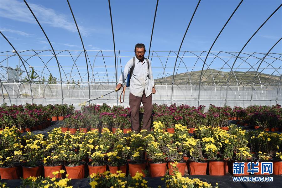 （新華全媒頭條&middot;走向我們的小康生活&middot;圖文互動(dòng)）（10）&ldquo;苦甲&rdquo;不再，&ldquo;甘味&rdquo;綿長(zhǎng)&mdash;&mdash;脫貧攻堅(jiān)的甘肅味道