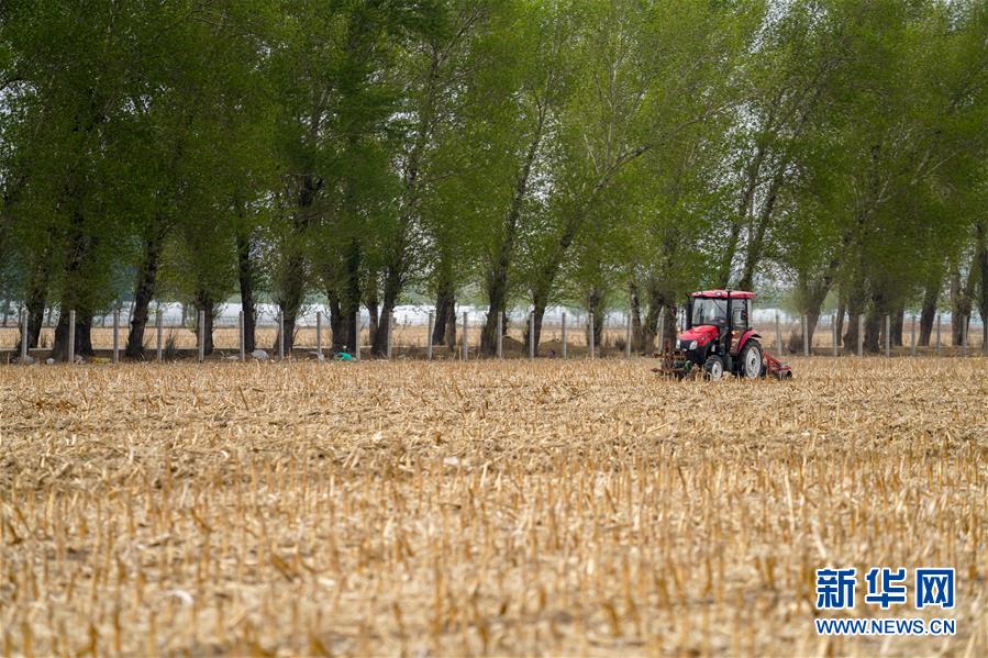 (新華全媒頭條·圖文互動)(9)為現(xiàn)代農(nóng)業(yè)探新路——來自吉林梨樹的田野報告