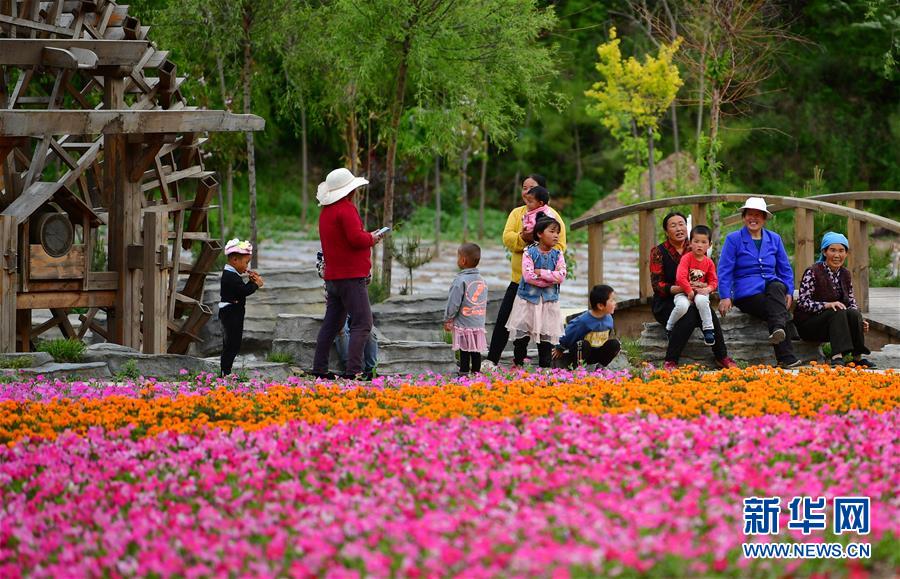 (新華全媒頭條·走向我們的小康生活·決戰(zhàn)決勝脫貧攻堅·圖文互動)(8)脫貧的顏色