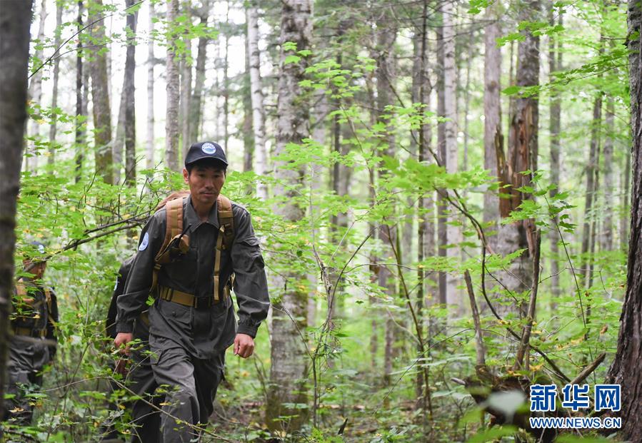 （圖文互動(dòng)）（1）長白山60年書寫&ldquo;生態(tài)答卷&rdquo;