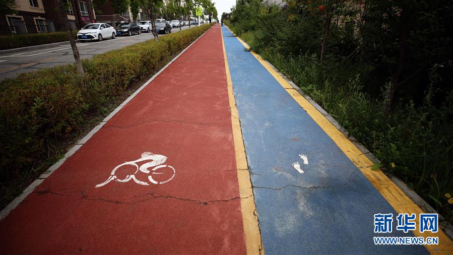 （圖文互動(dòng)）（9）長白山60年書寫&ldquo;生態(tài)答卷&rdquo;