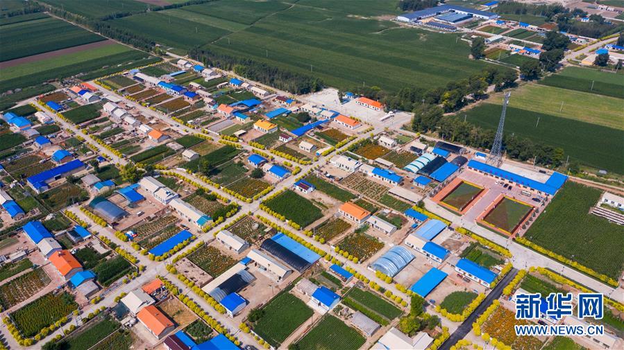 （新華全媒頭條&middot;走向我們的小康生活&middot;圖文互動(dòng)）（1）黑土地上是我家&mdash;&mdash;在吉林，一瞥中國東北鄉(xiāng)村美麗未來