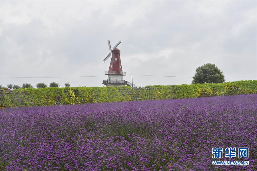 （新華全媒頭條&middot;走向我們的小康生活&middot;圖文互動(dòng)）（6）黑土地上是我家&mdash;&mdash;在吉林，一瞥中國東北鄉(xiāng)村美麗未來