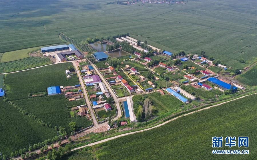 （新華全媒頭條&middot;走向我們的小康生活&middot;圖文互動(dòng)）（12）黑土地上是我家&mdash;&mdash;在吉林，一瞥中國東北鄉(xiāng)村美麗未來