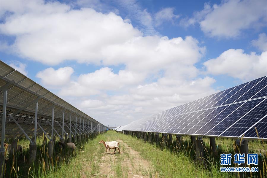 （新華全媒頭條&middot;走向我們的小康生活&middot;決戰(zhàn)決勝脫貧攻堅(jiān)&middot;圖文互動）（2）高原上綻放的光芒&mdash;&mdash;來自青海攻克深度貧困堡壘的故事