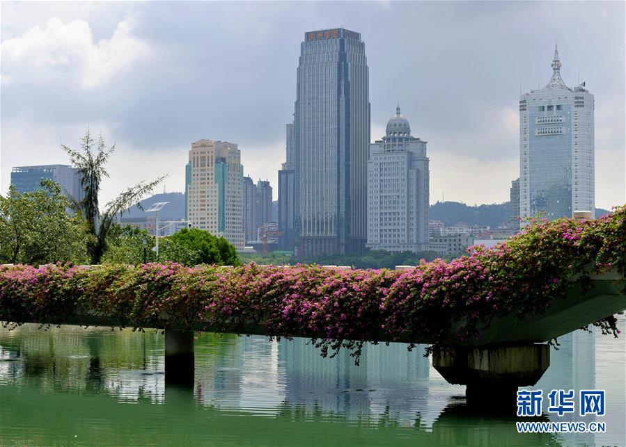 （特區(qū)40年?圖文互動）（7）廈庇五洲客 門納萬頃濤&mdash;&mdash;廈門經(jīng)濟(jì)特區(qū)40年發(fā)展紀(jì)實