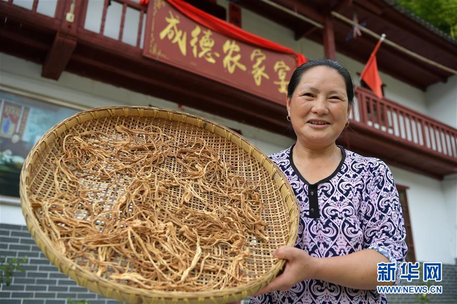 （新華全媒頭條&middot;走向我們的小康生活&middot;圖文互動）（4）神山村&ldquo;神奇&rdquo;何在？&mdash;&mdash;井岡山深處覓答案