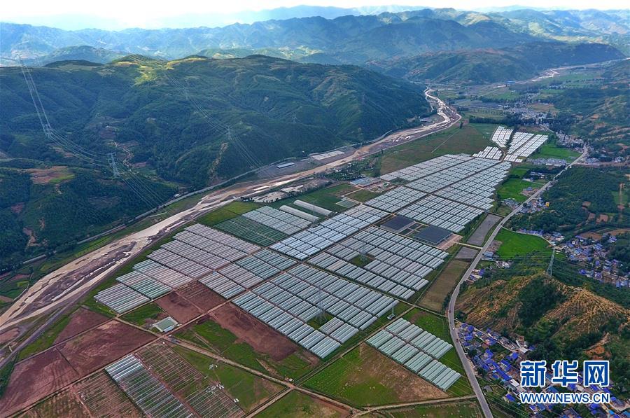 （走向我們的小康生活&middot;決戰(zhàn)決勝脫貧攻堅&middot;圖文互動）（2）把產(chǎn)業(yè)興盛之&ldquo;根&rdquo;扎進大涼山