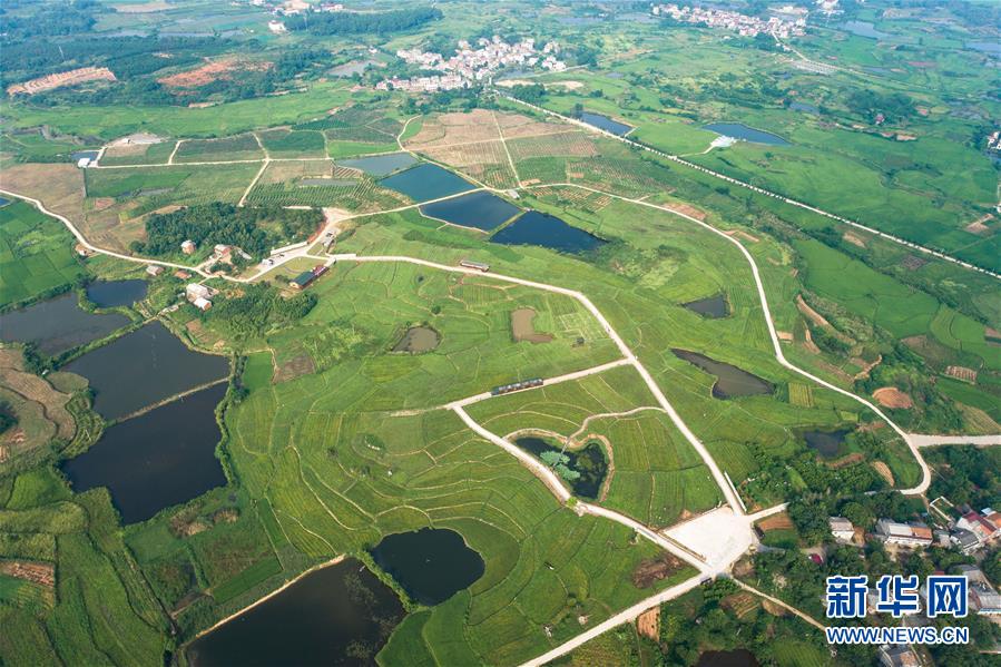 （新華全媒頭條&middot;走向我們的小康生活&middot;圖文互動(dòng)）（1）特殊之年，荊楚大地書(shū)寫不平凡的答卷