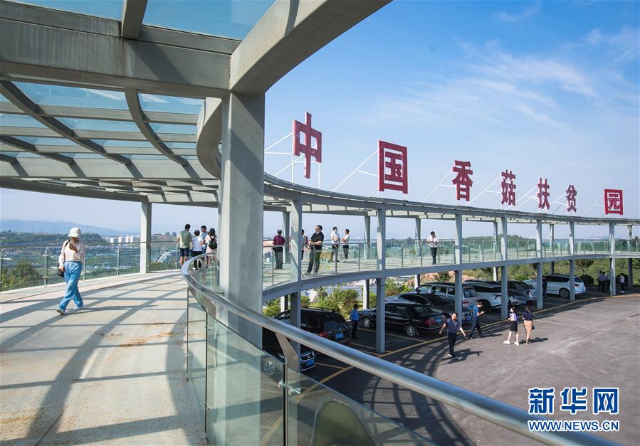 （新華全媒頭條&middot;走向我們的小康生活&middot;圖文互動(dòng)）（2）特殊之年，荊楚大地書(shū)寫不平凡的答卷