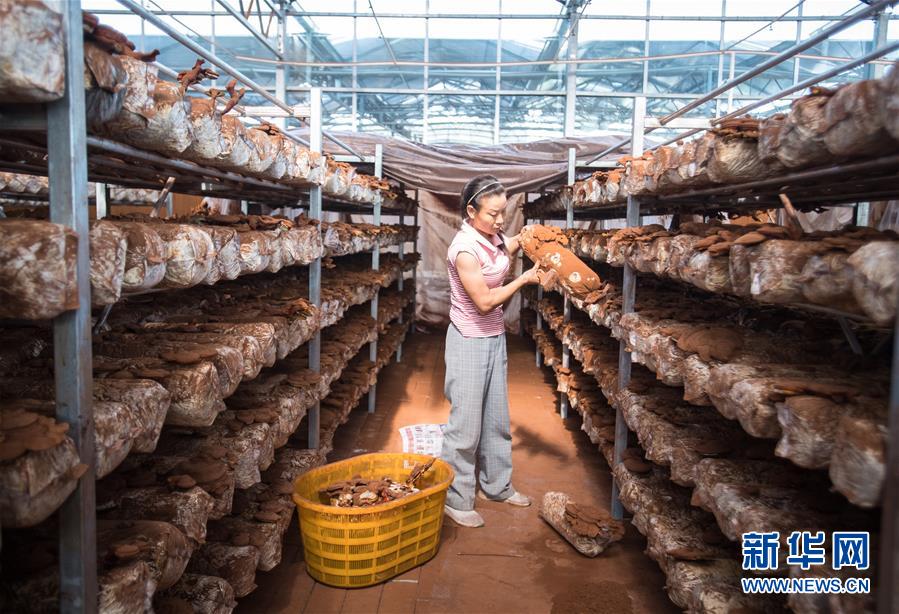 （新華全媒頭條&middot;走向我們的小康生活&middot;圖文互動(dòng)）（3）特殊之年，荊楚大地書(shū)寫不平凡的答卷