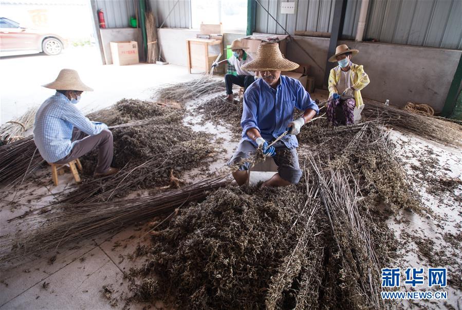 （新華全媒頭條&middot;走向我們的小康生活&middot;圖文互動(dòng)）（10）特殊之年，荊楚大地書(shū)寫不平凡的答卷