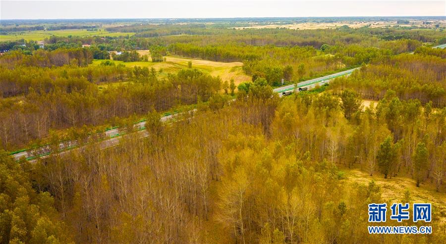 （在習(xí)近平新時代中國特色社會主義思想指引下&mdash;&mdash;新時代新作為新篇章&middot;習(xí)近平總書記關(guān)切事&middot;圖文互動）（3）綠意，在黃沙中鋪展&mdash;&mdash;我國防沙治沙紀(jì)實