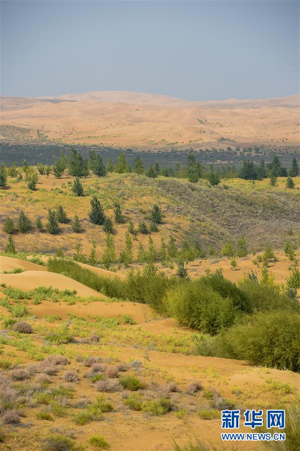 （在習(xí)近平新時代中國特色社會主義思想指引下&mdash;&mdash;新時代新作為新篇章&middot;習(xí)近平總書記關(guān)切事&middot;圖文互動）（6）綠意，在黃沙中鋪展&mdash;&mdash;我國防沙治沙紀(jì)實