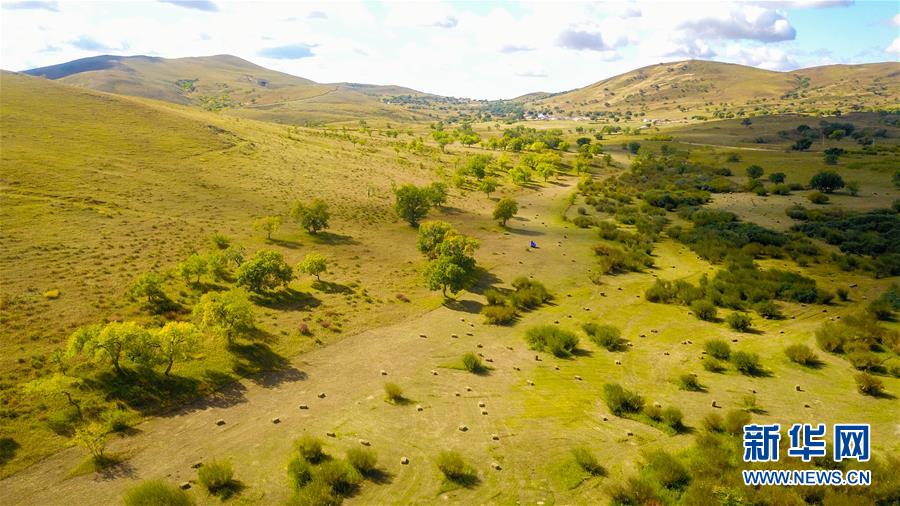 （在習(xí)近平新時代中國特色社會主義思想指引下&mdash;&mdash;新時代新作為新篇章&middot;習(xí)近平總書記關(guān)切事&middot;圖文互動）（4）綠意，在黃沙中鋪展&mdash;&mdash;我國防沙治沙紀(jì)實