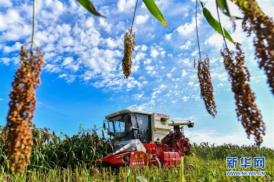 （新華全媒頭條&middot;圖文互動(dòng)）（17）奮斗結(jié)碩果，再寫(xiě)新篇章&mdash;&mdash;寫(xiě)在共和國(guó)71周年華誕之際