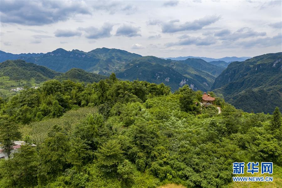 (新華全媒頭條·走向我們的小康生活·決戰(zhàn)決勝脫貧攻堅(jiān)·圖文互動(dòng))(9)昭通之變——全國(guó)貧困人口最多的地級(jí)市跨越記