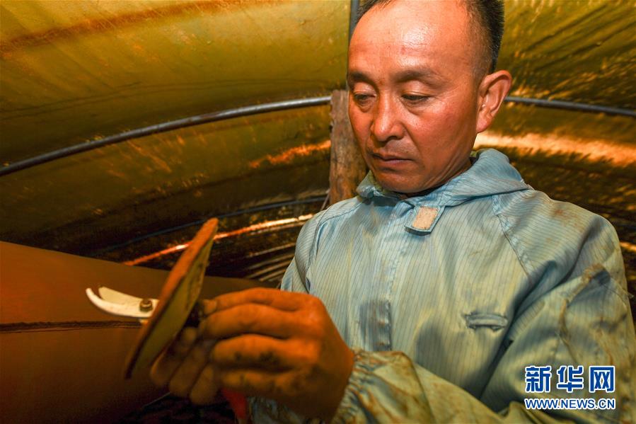 (決戰(zhàn)決勝脫貧攻堅(jiān)·圖文互動)(3)從“因殘致貧”到“帶頭脫貧”——吉林靖宇有這樣一位“脫貧英雄”